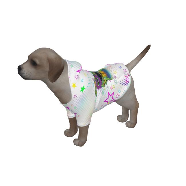 Hunde Hoodie, Pullover für Hunde, mit buntem Hundemotiv Motte2